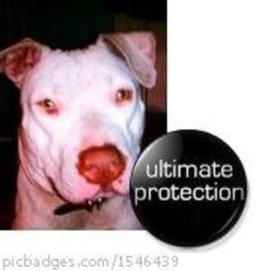 Meet your Posher, Malik